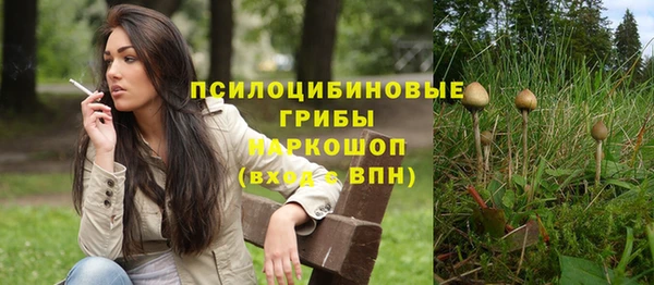 сатива Абдулино