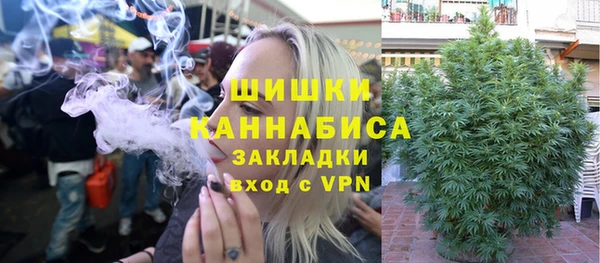 сатива Абаза