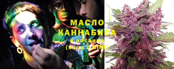 винт Лагань