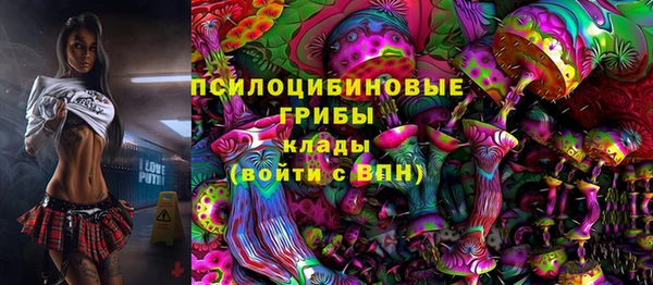 сатива Абдулино